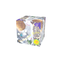 Новогодняя ночь Салют купить в Балашихе | balashiha.salutsklad.ru