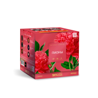 Пионы Салют купить в Балашихе | balashiha.salutsklad.ru