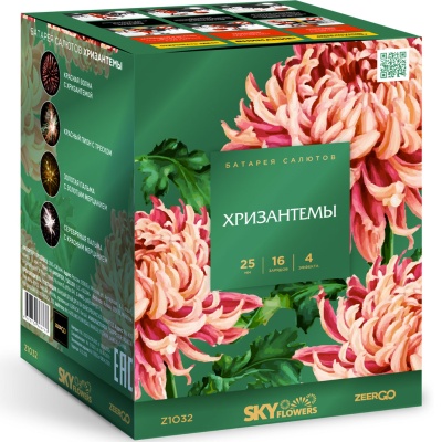 Хризантемы Фейерверк купить в Балашихе | balashiha.salutsklad.ru